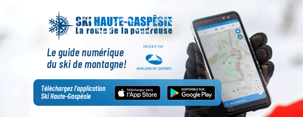 Application mobile bannière de l'application sur un cellulaire