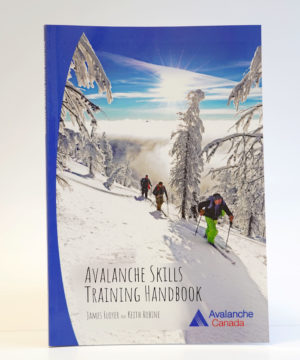 Manuel_CSA_englishversion