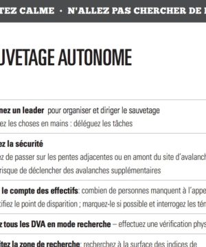 Fournisseur - Carte Companion rescue EN